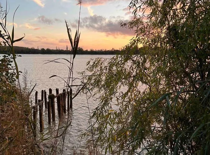 Domaine De La Grande Chapelle ゲストハウス Cadillac-en-Fronsadais